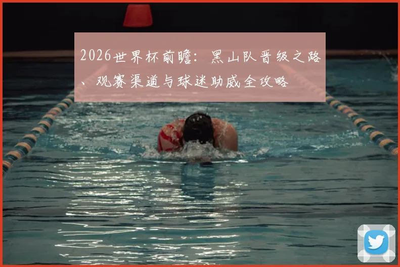 2026世界杯前瞻:黑山队晋级之路、观赛渠道与球迷助威全攻略
